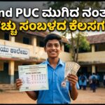 What to do after PUC?