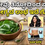 ಕರಿಬೇವು, ಆರೋಗ್ಯ ಲಾಭಗಳು, ತೂಕ ಇಳಿಕೆ, ಮಧುಮೇಹ ನಿಯಂತ್ರಣ, ಮನೆಮದ್ದು, ಕೂದಲು ಆರೈಕೆ, ಹೃದಯ ಆರೋಗ್ಯ,