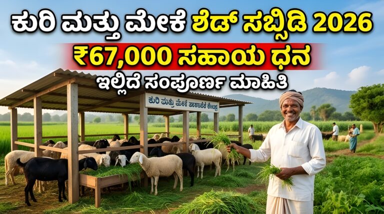 Goat Shed Subsidy